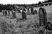 Ansicht des Friedhofes in Binsförth